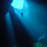 into-the-deep-diving