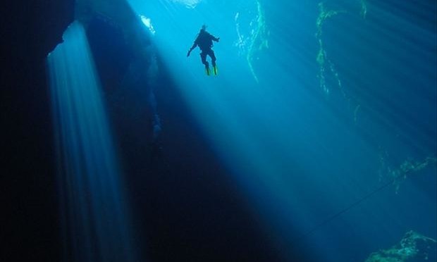 into-the-deep-diving